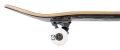 birdhouse-stage-1-deskorolka-skateboard-tony-hawk-crest-black-8 (4).jpg