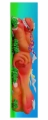 chubby-wheels-grip-tape-papier-hulajnogi-wyczynowej-stunt-scooter-yonktape.webp