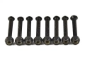 dstreet-skateboard-bolts (1).webp