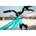ns-bikes-26-movement-2-godziek-dirt-jump-rower-fahrrad-rad-kolo-bike-toothpaste (8).webp