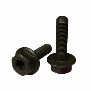 Stolen Female Nabe Bolts / Schrauben 3/8"