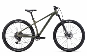 CTM Zephyr Comp 29" MTB Mountainbike | Matt Ground Green