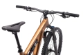 ctm-skaut-60-pro-29-mtb-trail-rower-fahrrad-rad-bike-matt-gold (5).webp