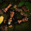 Dartmoor-Reel-pro-v2-mtb-dirt-piasta-tylna-hinterrad-nabe-zadni-naba-10T-13t-32h-singlespeed-choco (3).webp