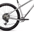 dartmoor-primal-evo-29-mtb-rower-rad-fahrrad-kolo-silver-brushed (3).webp