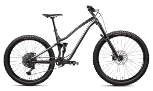 Dartmoor Rocbird Enduro Intro 29" MTB Rad | Antracite Flash