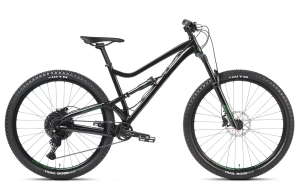 Dartmoor Bluebird Intro 29" MTB Rad | Black Forest