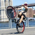 se-bikes-big-flyer-hd-29-wheelie-cruiser-rower-fahrrad-kolo-matte-grey (2).webp