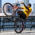 se-bikes-big-flyer-hd-29-wheelie-cruiser-rower-fahrrad-kolo-matte-grey (3).webp