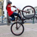 se-bikes-big-flyer-hd-29-wheelie-cruiser-rower-fahrrad-kolo-matte-grey (7).webp