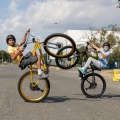 se-bikes-fast-ripper-29-wheelie-cruiser-rower-fahrrad-kolo-gold-blink (2).webp