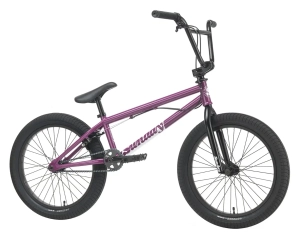 Sunday Primer Park 20" BMX Rad 2027 | Berry
